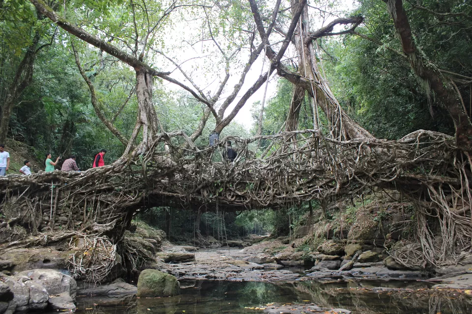 Photo of Meghalaya, India by Varsha Singh