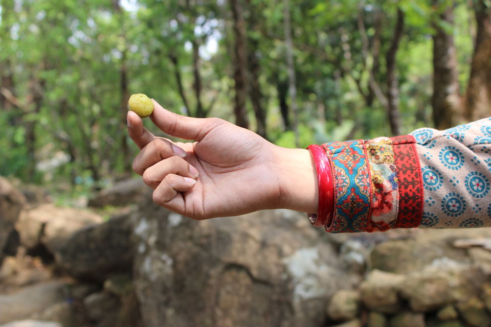 Photo of Asia's Cleanest Village, Mawsmai Cave and a Live Root Bridge! 5/13 by Varsha Singh