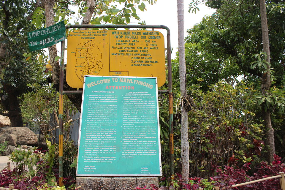 Photo of Asia's Cleanest Village, Mawsmai Cave and a Live Root Bridge! 6/13 by Varsha Singh