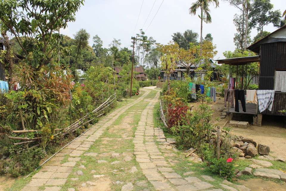 Photo of Asia's Cleanest Village, Mawsmai Cave and a Live Root Bridge! 7/13 by Varsha Singh