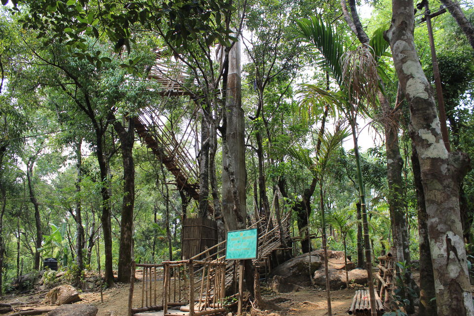 Photo of Asia's Cleanest Village, Mawsmai Cave and a Live Root Bridge! 9/13 by Varsha Singh