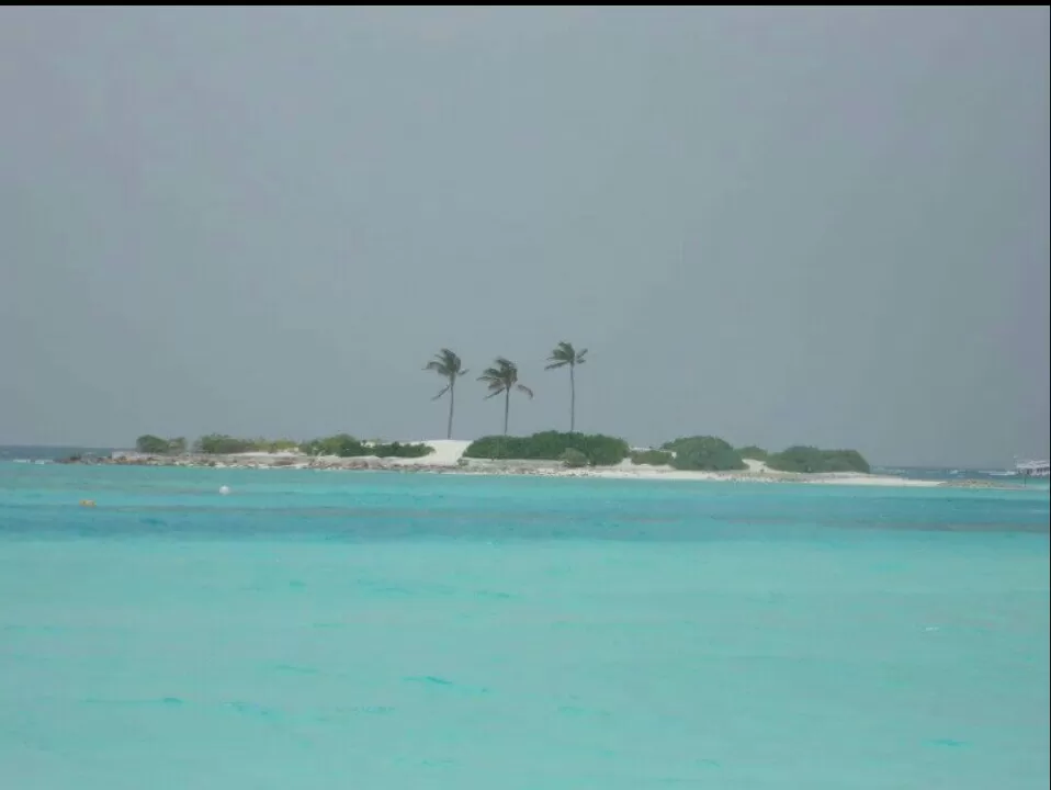 Photo of The Beach by Himani Thakkar
