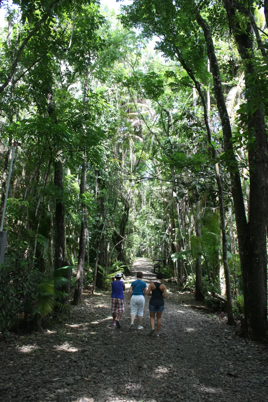 Photo of Cogon EcoTourism Park, Dipolog City, Zamboanga Peninsula, Philippines by Rowhe Rodriguez