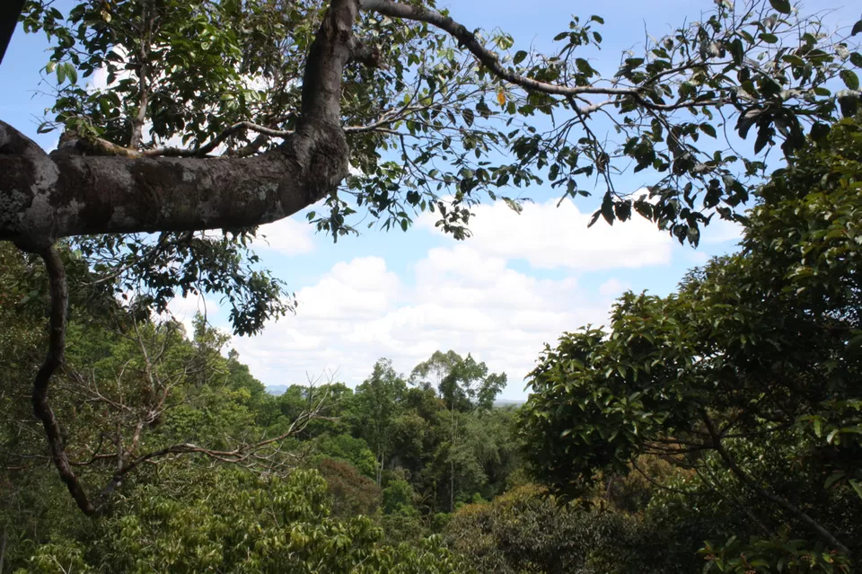 Photo of Cogon EcoTourism Park, Dipolog City, Zamboanga Peninsula, Philippines by Rowhe Rodriguez