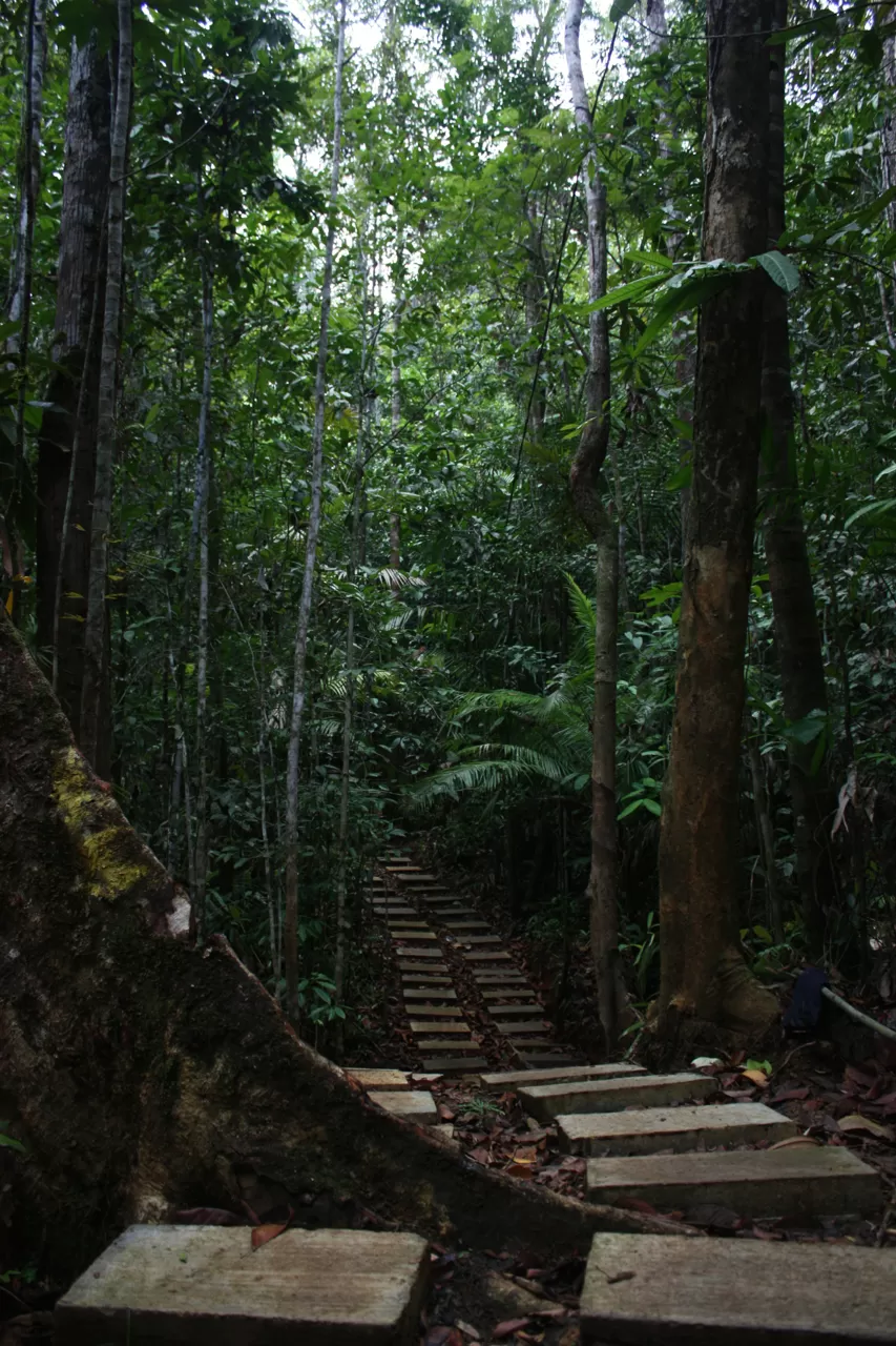 Photo of Cogon EcoTourism Park, Dipolog City, Zamboanga Peninsula, Philippines by Rowhe Rodriguez