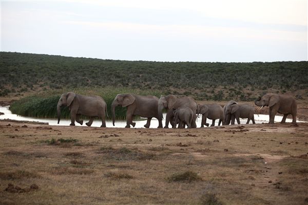Photo of Learn "South Africa" 1/6 by sumit.jamwal