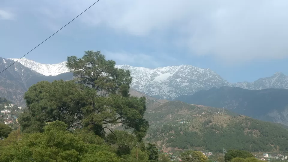 Photo of Dharamshala, Himachal Pradesh, India by Voyaged Shutterbug