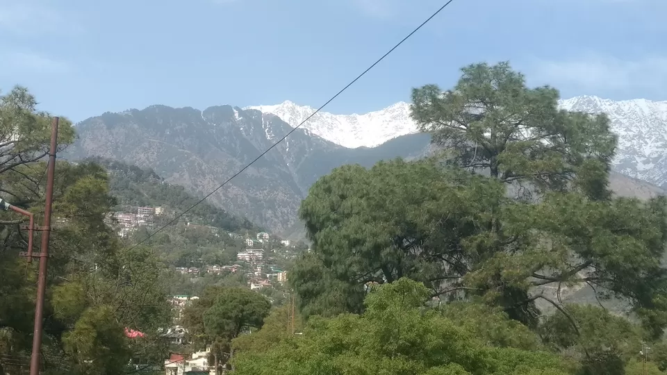 Photo of Dharamshala, Himachal Pradesh, India by Voyaged Shutterbug