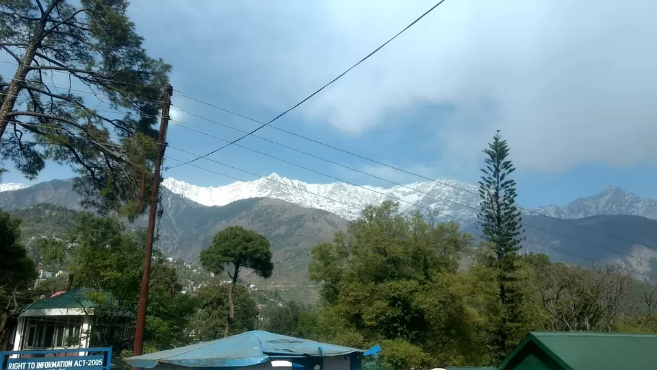 Photo of Dharamshala, Himachal Pradesh, India by Voyaged Shutterbug