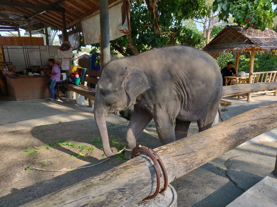 Photo of Enchanting Thailand by Gaurav Gupta