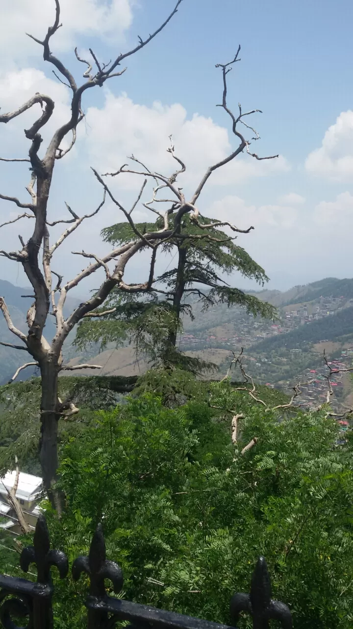 Photo of Shimla, Himachal Pradesh, India by Aksh Suri