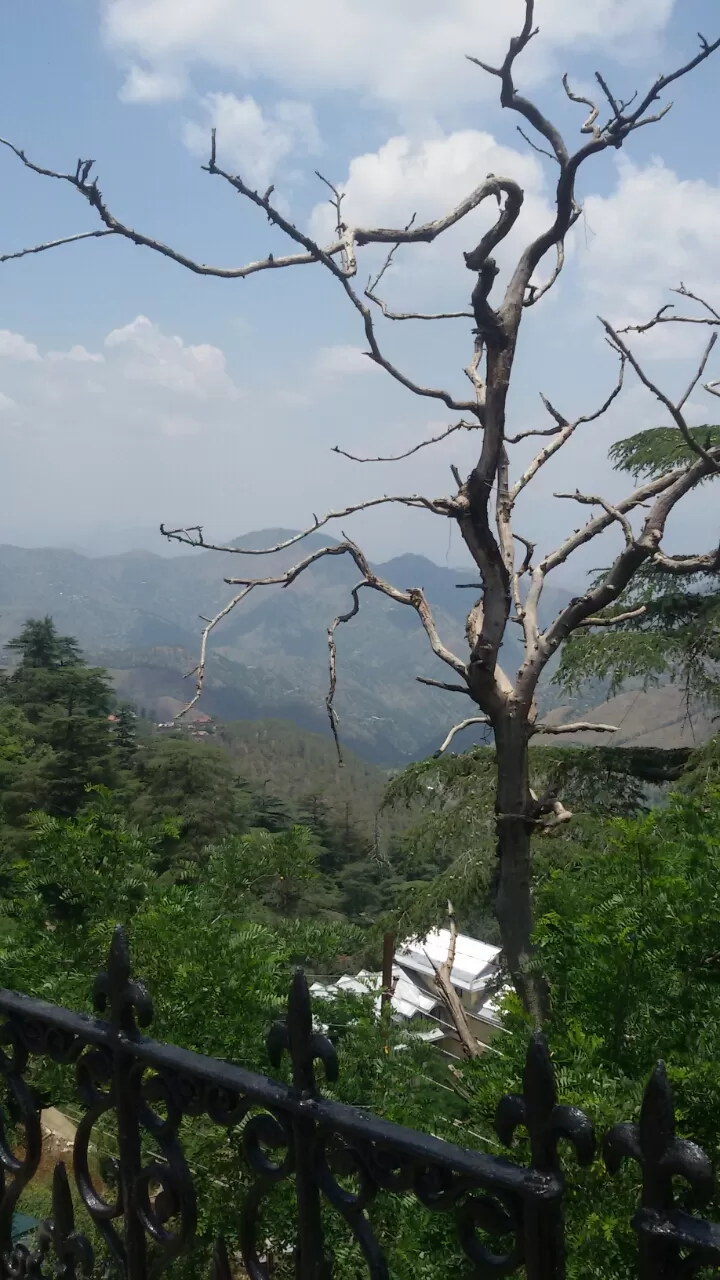 Photo of Shimla, Himachal Pradesh, India by Aksh Suri