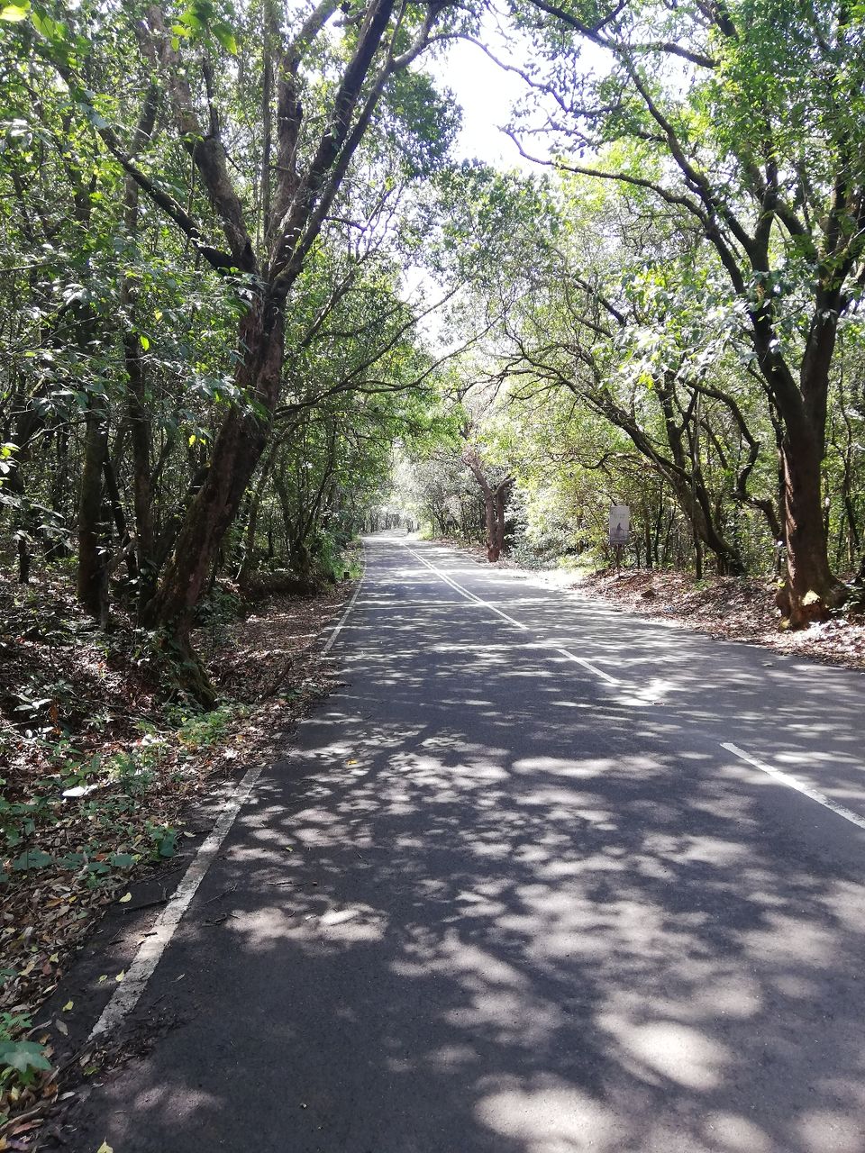 Photo of Tamhini bike ride by Mandar Kumthekar
