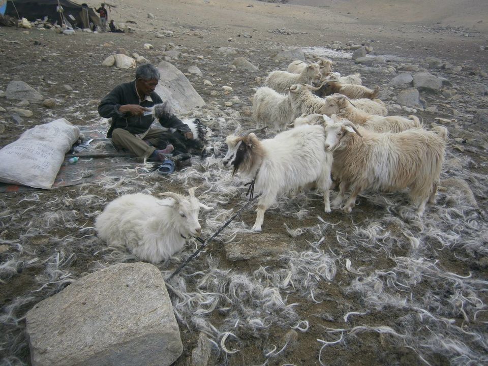 Photo of Mumbai to Leh by road 13/18 by Apeksha J Poojary