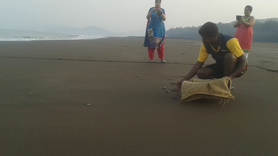 Photo of Bike trip to Velas, the turtle village 5/7 by Apeksha J Poojary