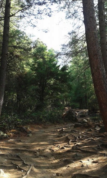 Photo of Backpacking to Bhutan 3/4 by Apeksha J Poojary