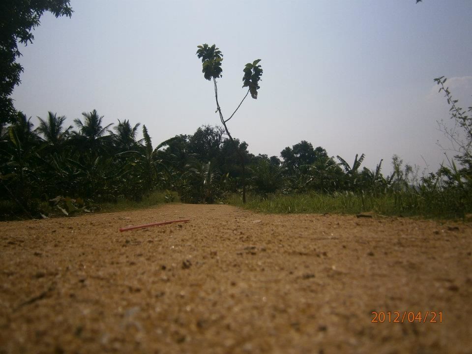 Photo of Roadtrip to Hampi from Mumbai 4/11 by Apeksha J Poojary