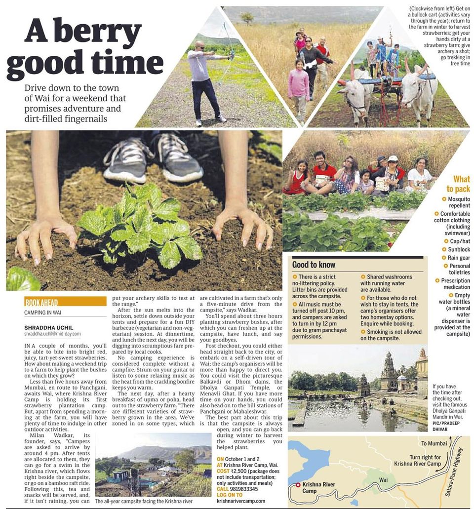 Photo of Strawberry Plantations with river Bank Camping @ Wai, enroute Panchgani. 1/2 by Krishna River Camp