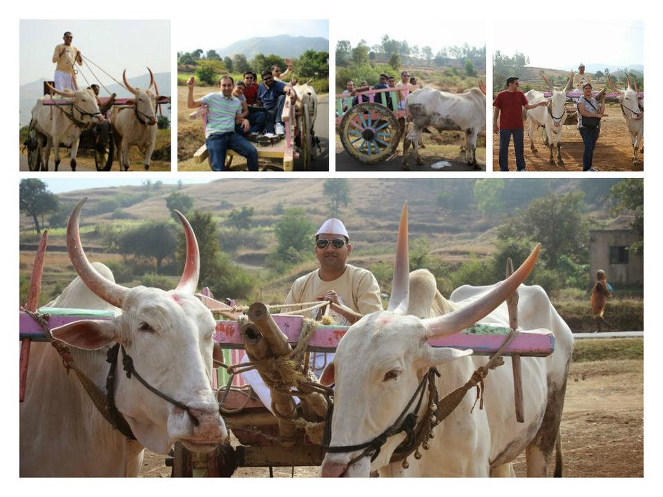 Photo of Weekend Camping at Krishna River Camp @ WaI, enroute Panchgani by Krishna River Camp
