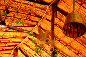 Photo of Mango Tree Restaurant, Bellary, Karnataka, India by Aprajita Virmani