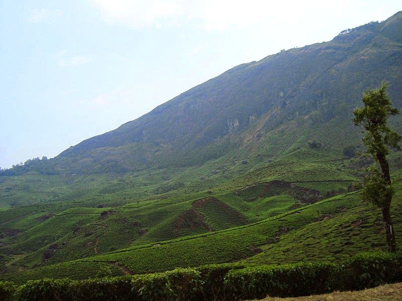 Photo of Munnar – A jewel in God's own country 1/2 by Mridul Gogoi