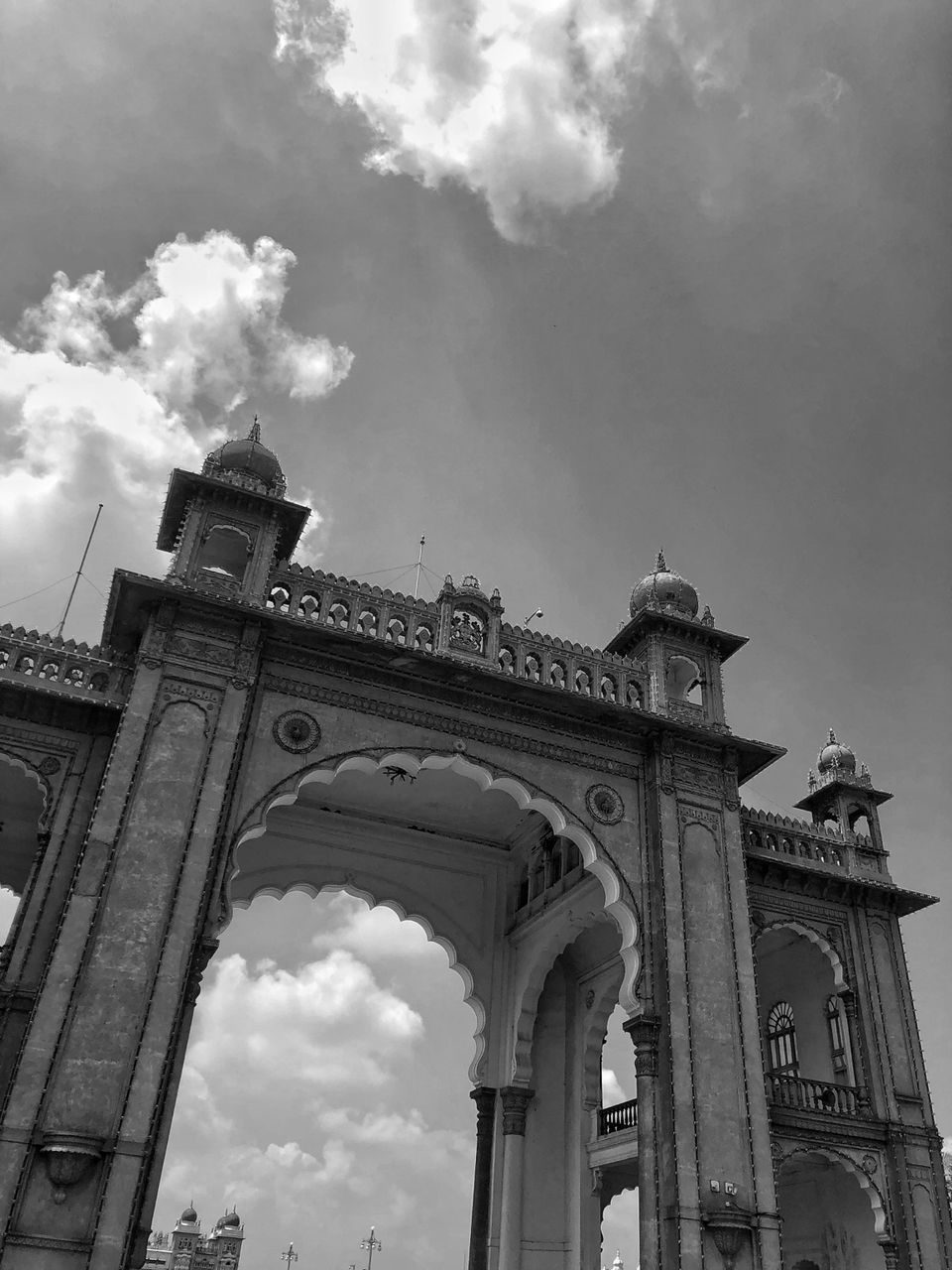 Photo of TAKING TO THE ROYALS. by Aditya Amarnath