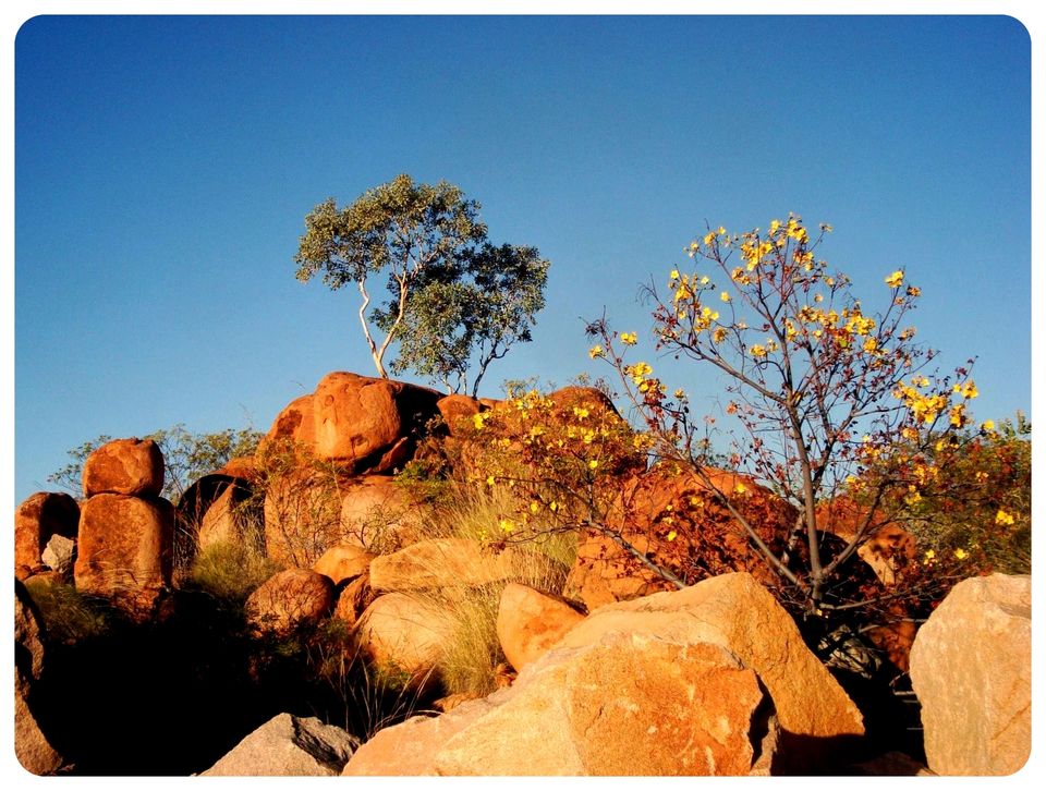 Hitchhiking Down the Westcoast of Australia Tripoto