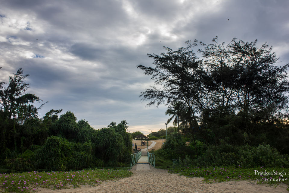 Photo of The Un-Goa 18/19 by Pace, Places and Faces