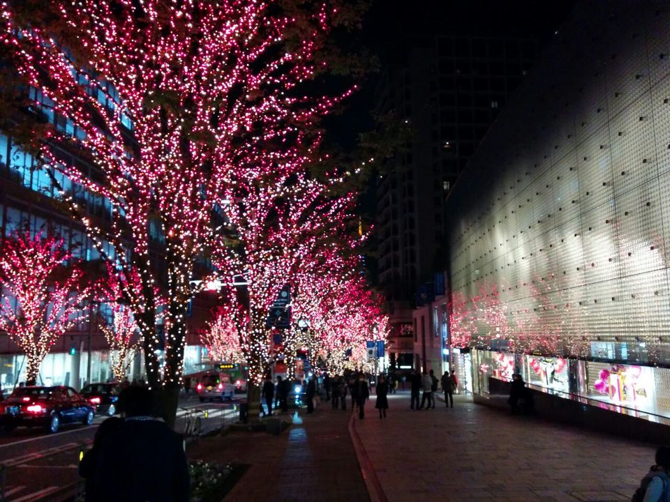 Photo of Japan: Part 1: Tokyo, Kyoto, Osaka 2/95 by Kaushal Vasa