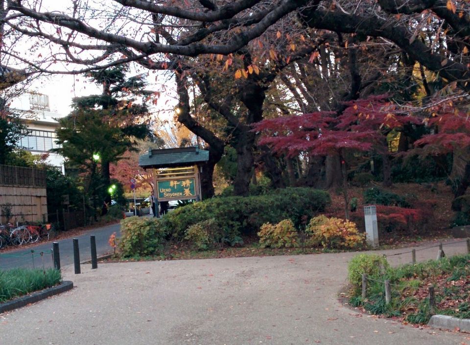Photo of Japan: Part 1: Tokyo, Kyoto, Osaka 4/95 by Kaushal Vasa