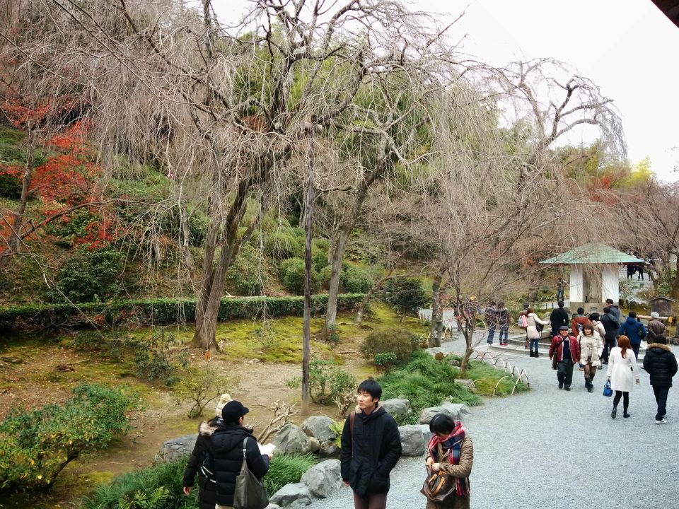 Photo of Japan: Part 1: Tokyo, Kyoto, Osaka 43/95 by Kaushal Vasa