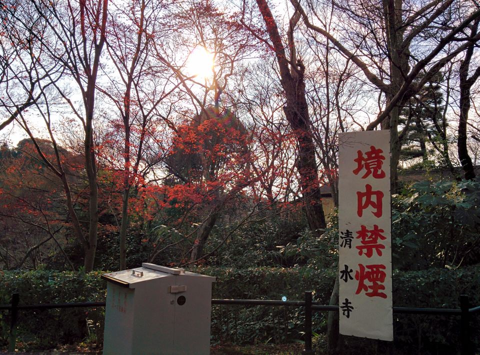 Photo of Japan: Part 1: Tokyo, Kyoto, Osaka 52/95 by Kaushal Vasa