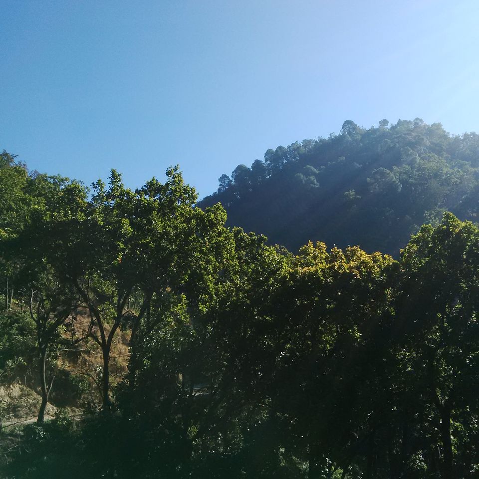 Photo of Roadtrip To Lansdowne, Uttarakhand 3/17 by Vikas Kumar