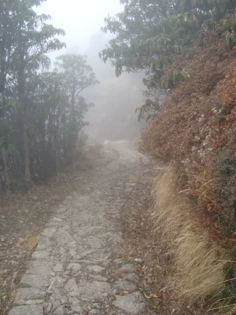 Photo of Sandakphu, Sandakfu, West Bengal, India by Shoyeta chatterjee