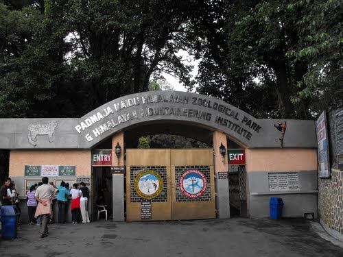 Photo of Padmaja Naidu Himalayan Zoological Park, Darjeeling, West Bengal, India by Shoyeta chatterjee