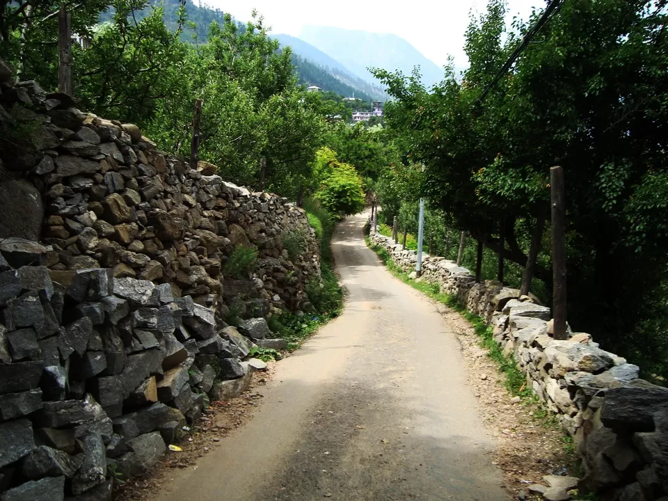 Photo of Kalpa, Reckong Peo, Himachal Pradesh, India by Shoyeta chatterjee