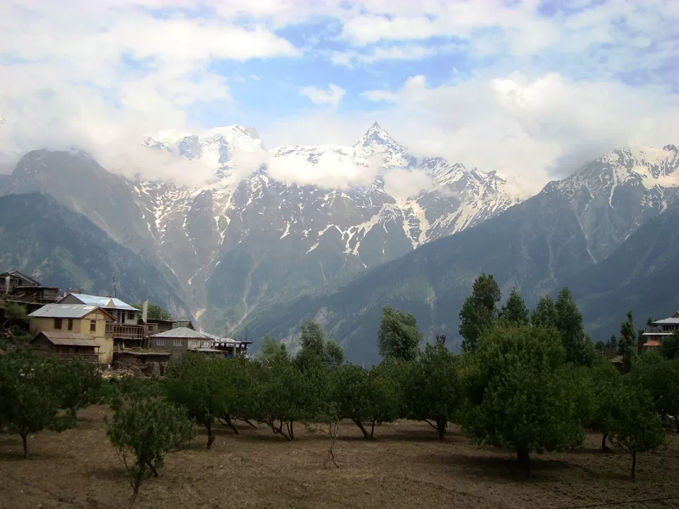 Photo of Kalpa, Reckong Peo, Himachal Pradesh, India by Shoyeta chatterjee