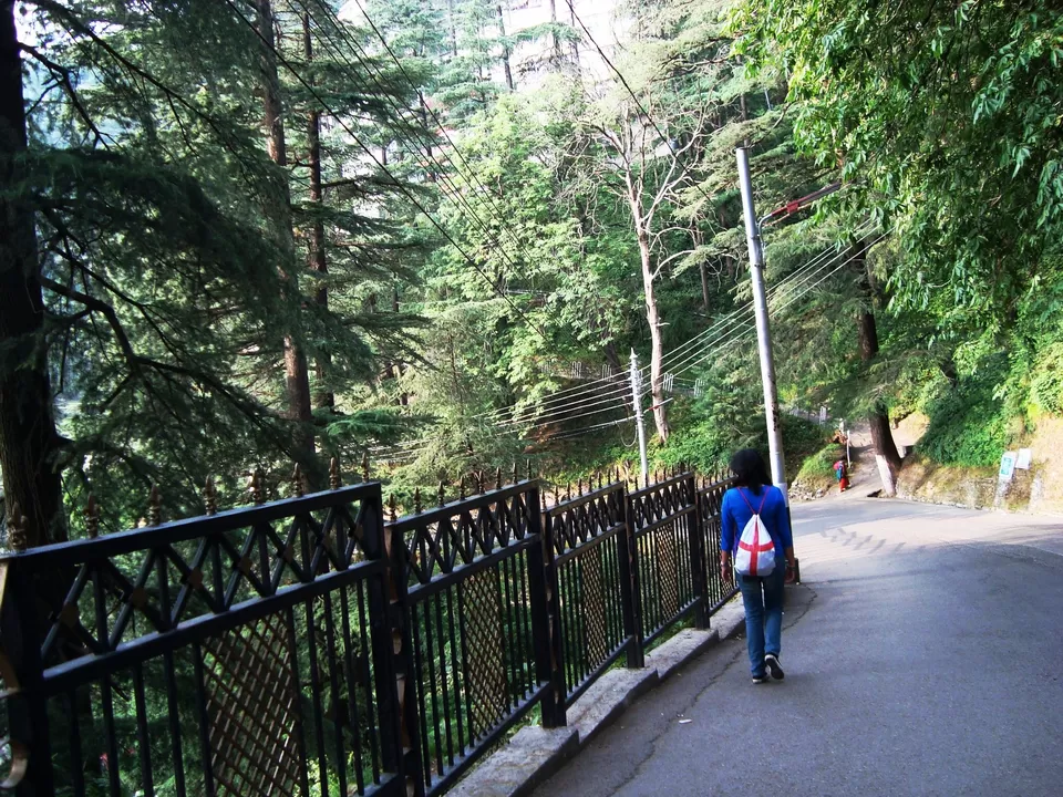 Photo of Shimla, Himachal Pradesh, India by Shoyeta chatterjee