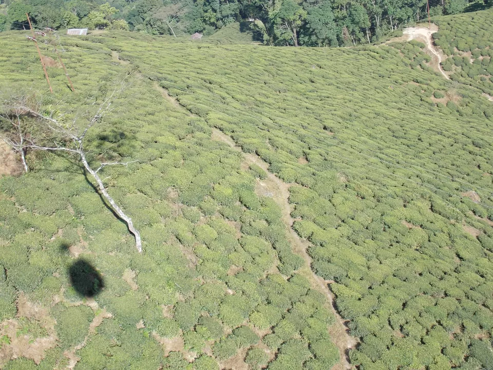Photo of Darjeeling Rangeet Valley Passenger Ropeway, Darjeeling, West Bengal, India by Shoyeta chatterjee