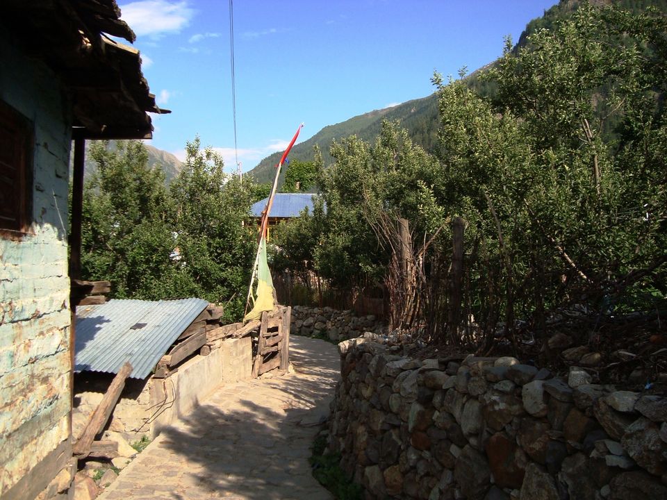 Photo of Batseri, Himachal Pradesh, India by Shoyeta chatterjee