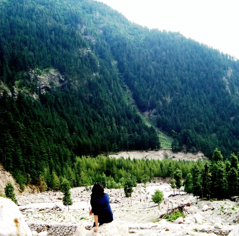 Photo of Kalpa, Reckong Peo, Himachal Pradesh, India by Shoyeta chatterjee