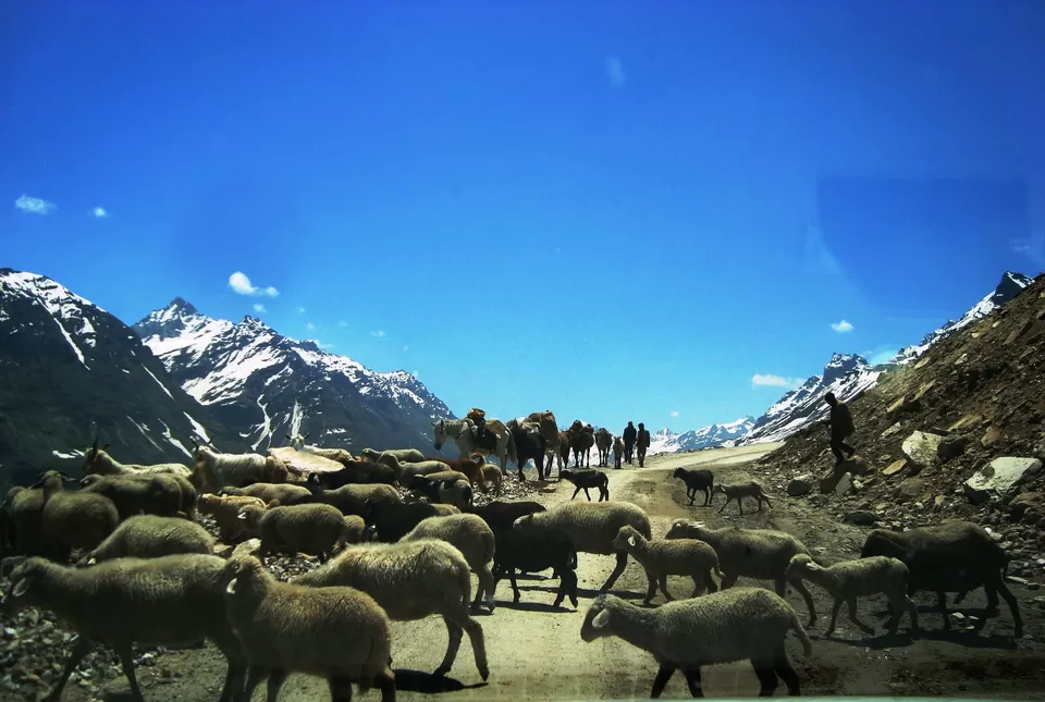 Photo of Manali, Himachal Pradesh, India by Shoyeta chatterjee