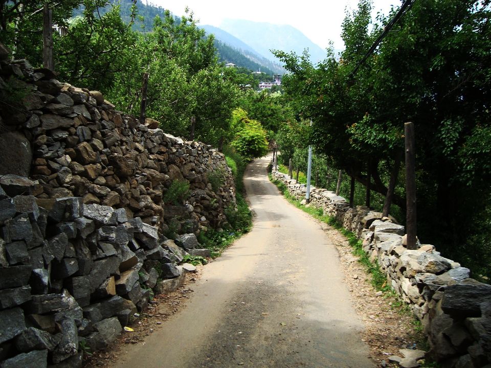 Photo of Road Trip Across Himachal Pradesh 8/60 by Shoyeta chatterjee