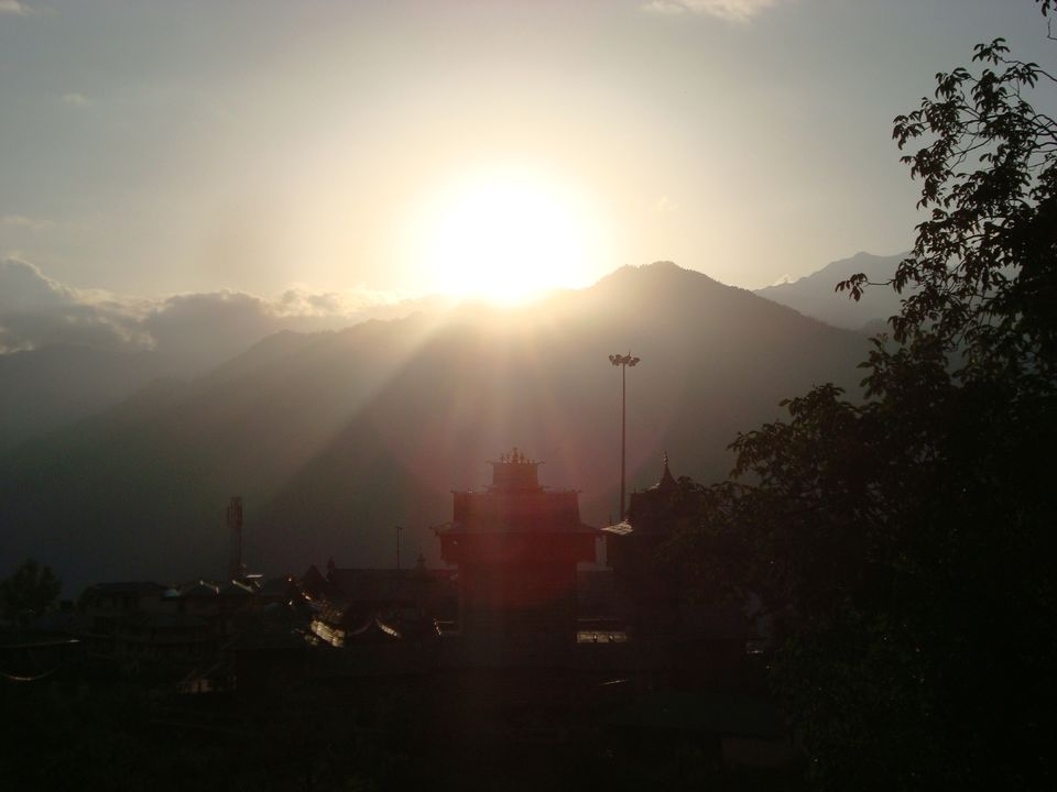 Photo of High on Pine and Apple Fragrant Air- Kinnaur 4/13 by Shoyeta chatterjee