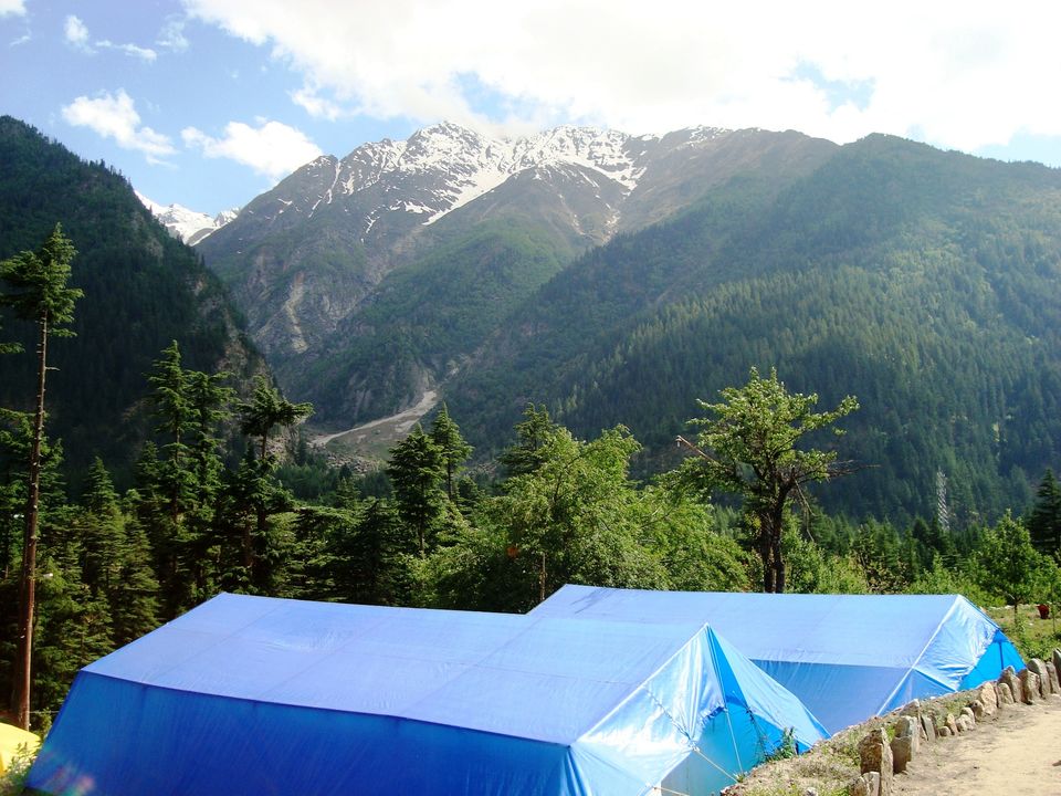 Photo of High on Pine and Apple Fragrant Air- Kinnaur 9/13 by Shoyeta chatterjee