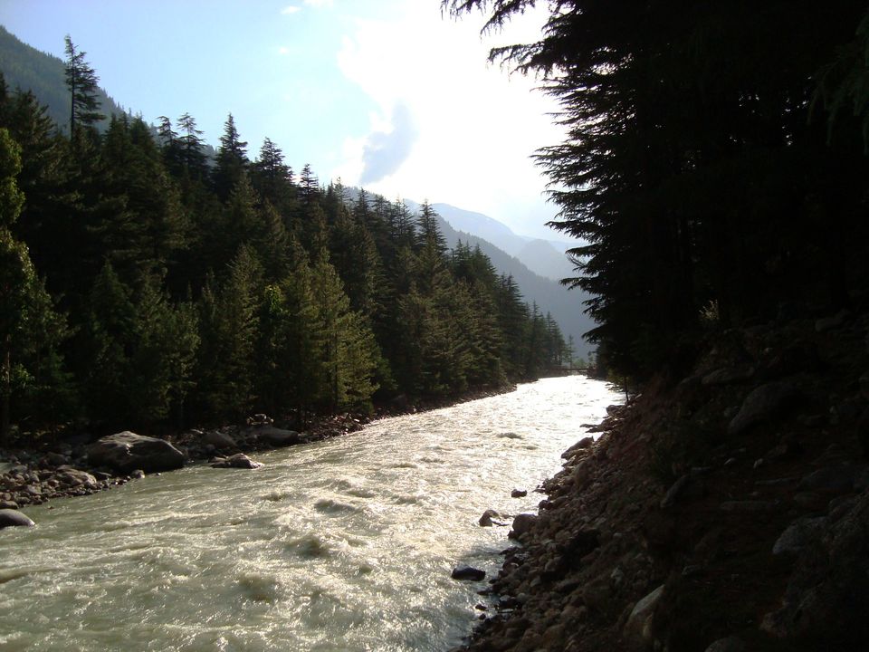 Photo of High on Pine and Apple Fragrant Air- Kinnaur 10/13 by Shoyeta chatterjee