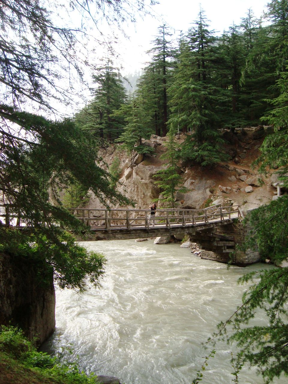 Photo of Road Trip Across Himachal Pradesh 18/60 by Shoyeta chatterjee