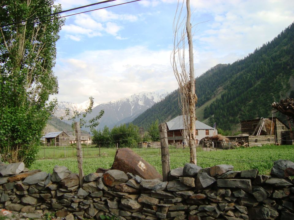 Photo of Road Trip Across Himachal Pradesh 59/60 by Shoyeta chatterjee