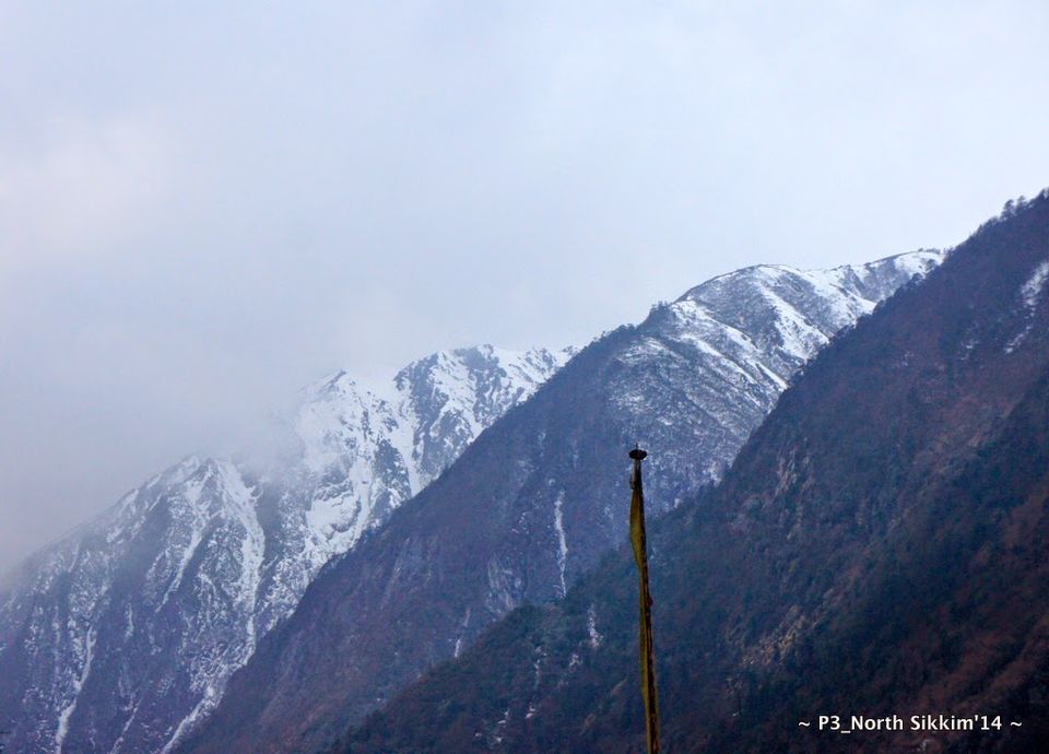 Photo of Sikkim- Greens, White & Gravel Beauty 10/70 by Preeti