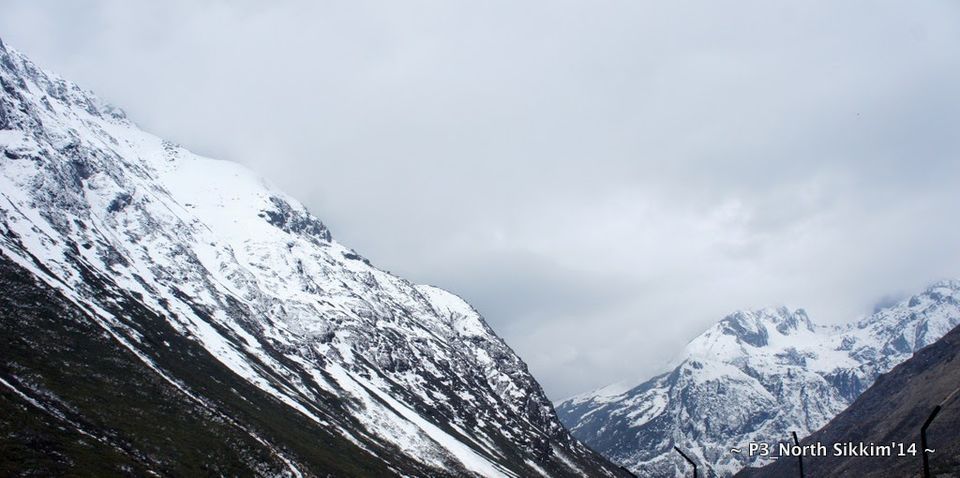 Photo of Sikkim- Greens, White & Gravel Beauty 12/70 by Preeti